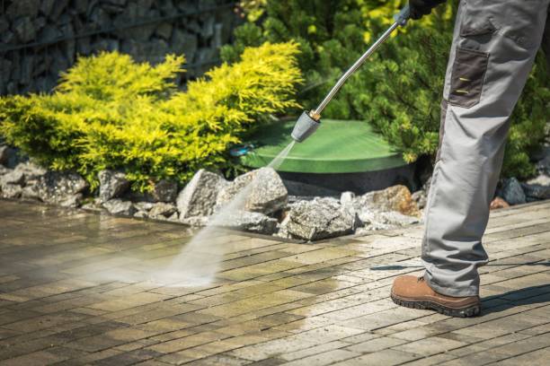 Best Pool Deck Cleaning  in Braham, MN
